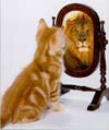 How do you see yourself?